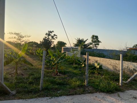 ที่ดินเปล่า 100 วา บ้านหนองม่วง มีถนนคอนกรีต น้ำ ไฟ เข้าถึงแล้ว สามารถสร้างหอพัก บ้านสวน ออกถนนวงแหวนรอบนอกได้สะดวก - 3