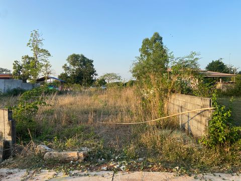 ที่ดินเปล่า 100 วา บ้านหนองม่วง มีถนนคอนกรีต น้ำ ไฟ เข้าถึงแล้ว สามารถสร้างหอพัก บ้านสวน ออกถนนวงแหวนรอบนอกได้สะดวก - 1