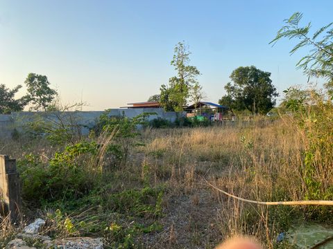ที่ดินเปล่า 100 วา บ้านหนองม่วง มีถนนคอนกรีต น้ำ ไฟ เข้าถึงแล้ว สามารถสร้างหอพัก บ้านสวน ออกถนนวงแหวนรอบนอกได้สะดวก - 2